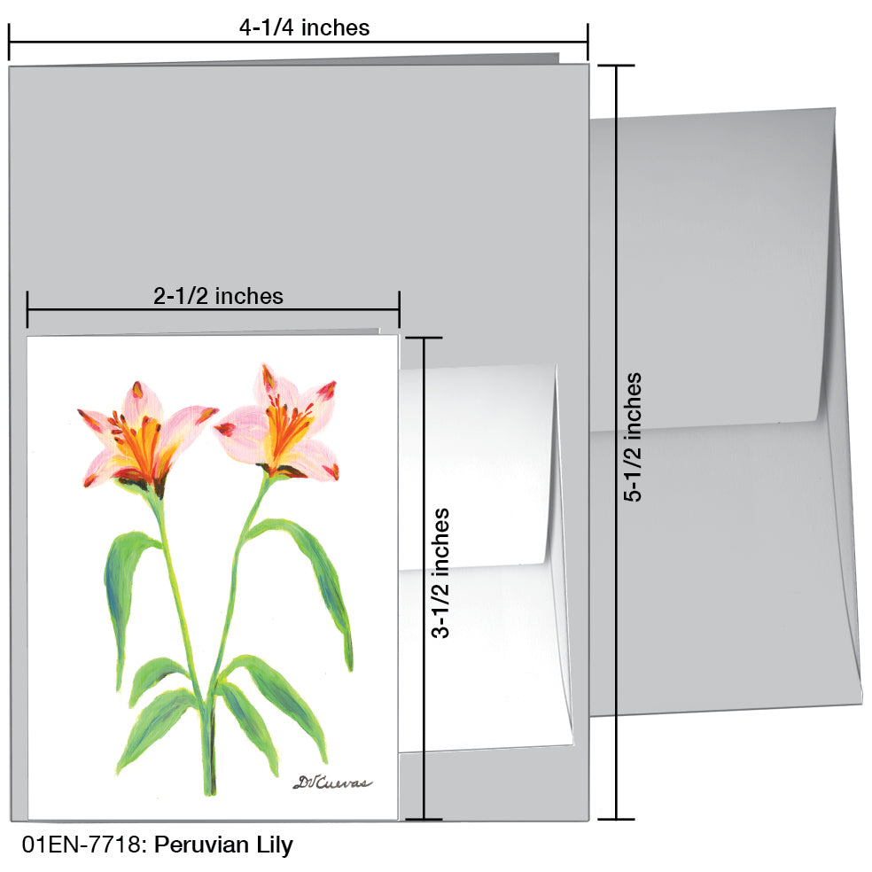 Peruvian Lily, Greeting Card (7718)