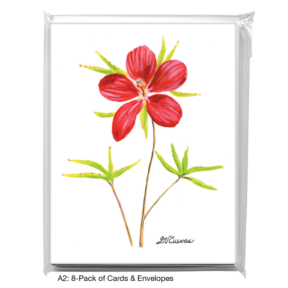 Scarlet Rosemallow, Greeting Card (7721)