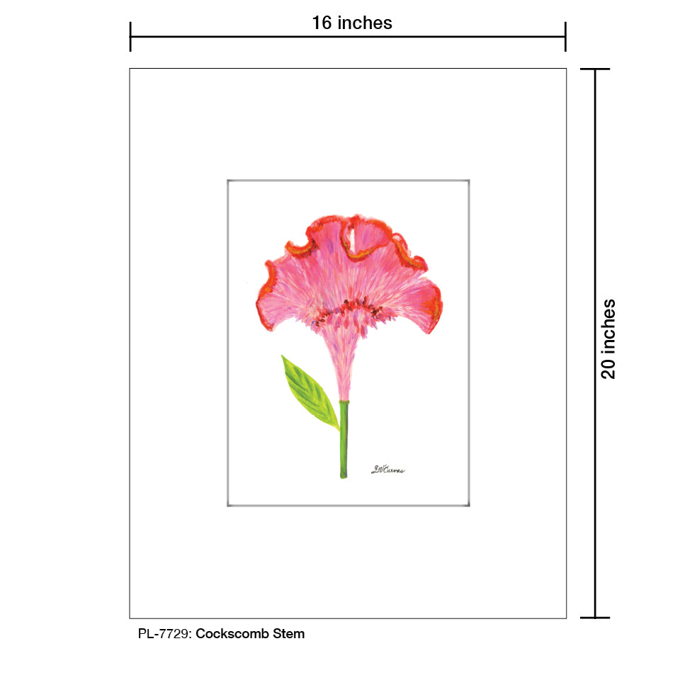 Cockscomb Stem, Print (#7729)