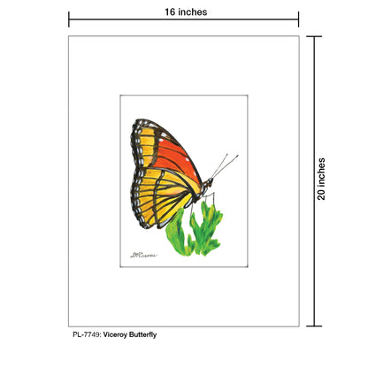 Viceroy Butterfly, Print (#7749)