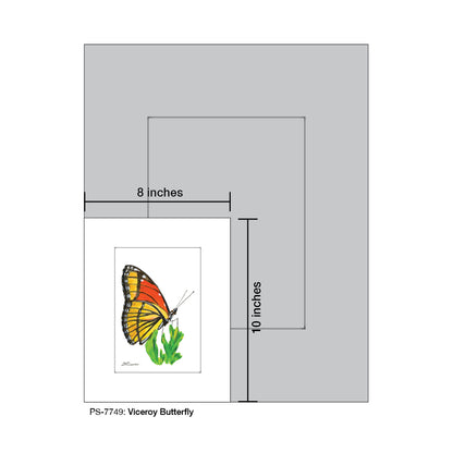 Viceroy Butterfly, Print (#7749)