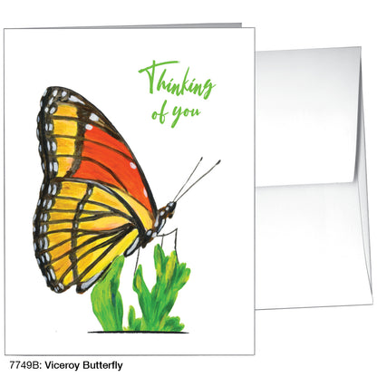 Viceroy Butterfly, Greeting Card (7749B)