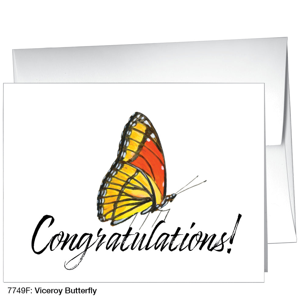 Viceroy Butterfly, Greeting Card (7749F)