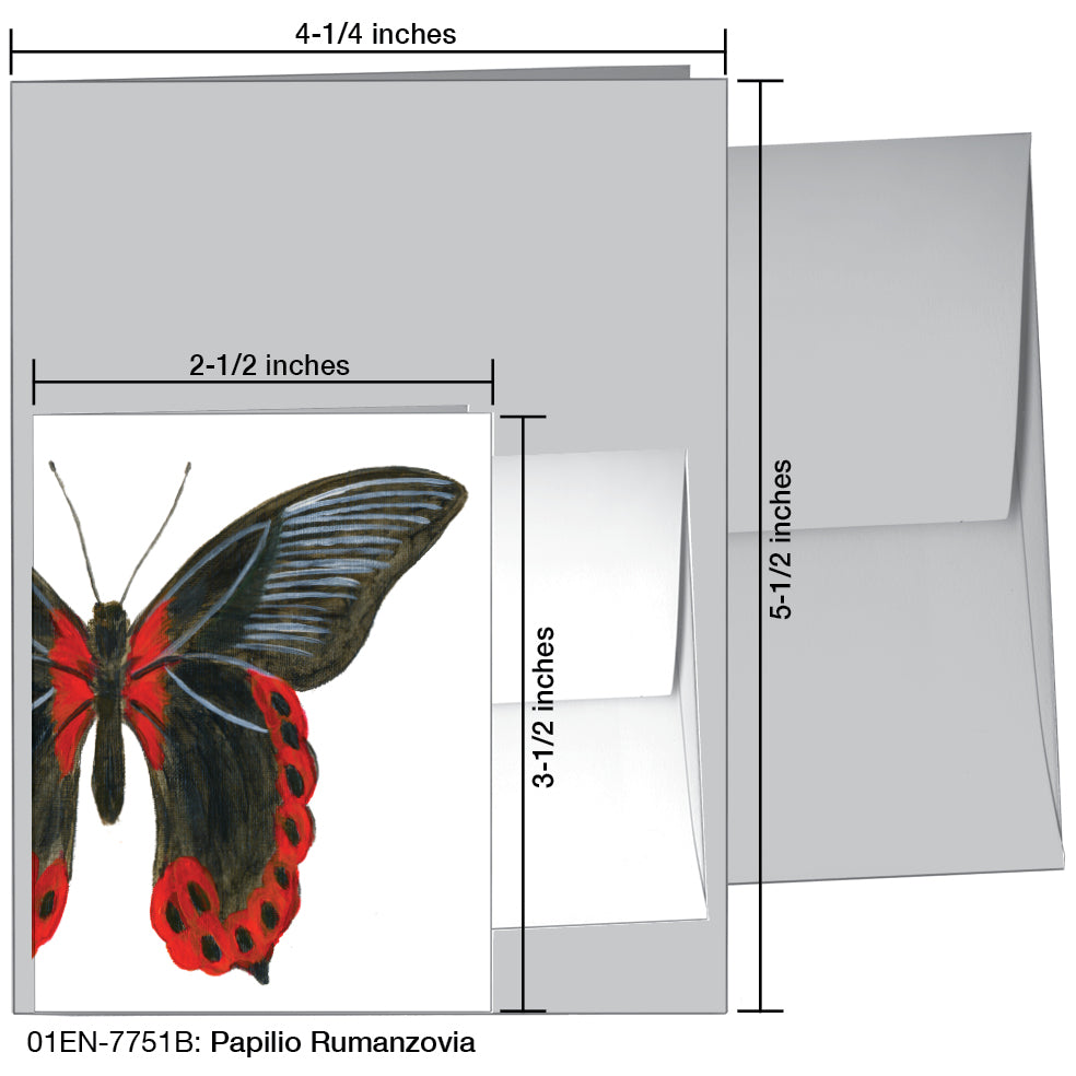 Papilio Rumanzovia, Greeting Card (7751B)