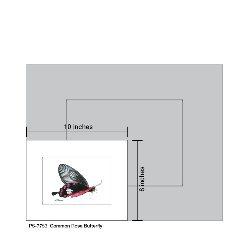 Common Rose Butterfly, Print (#7753)