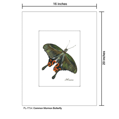 Common Mormon Butterfly, Print (#7754)