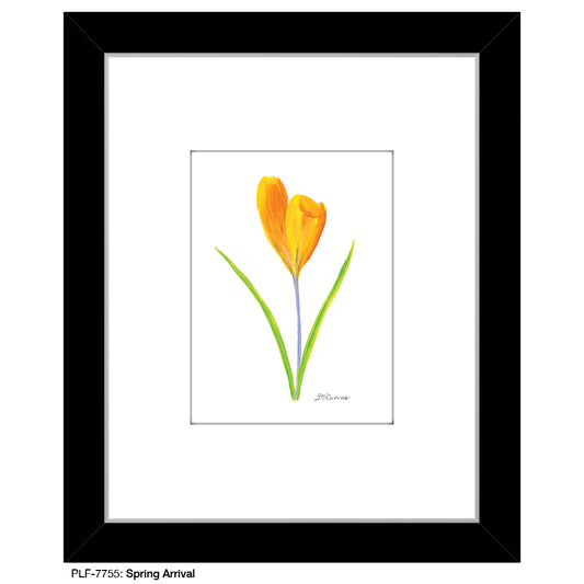 Spring Arrival, Print (#7755)