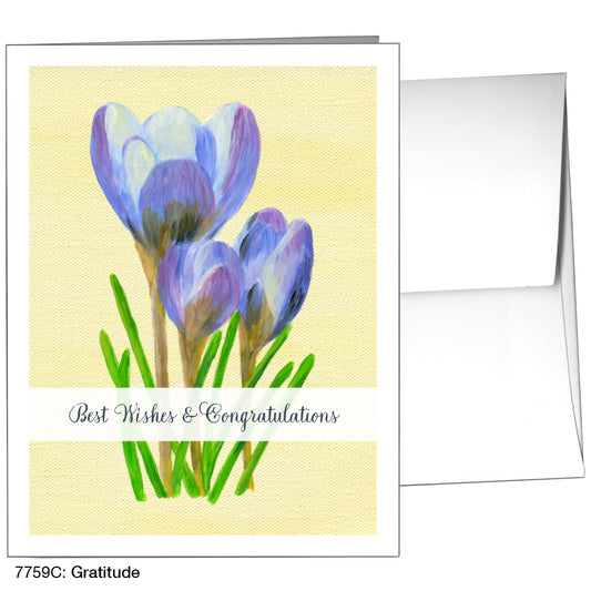 Gratitude, Greeting Card (7759C)