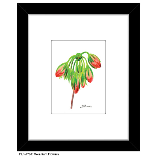 Geranium Flowers, Print (#7761)