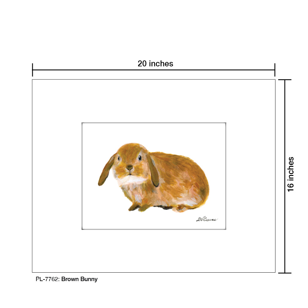 Brown Bunny, Print (#7762)