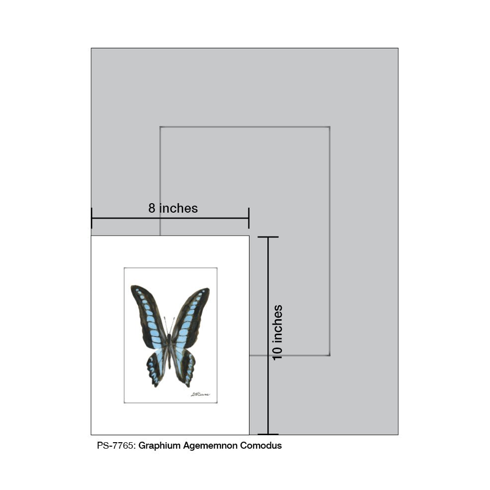 Graphium Agememnon Comodus, Print (#7765)