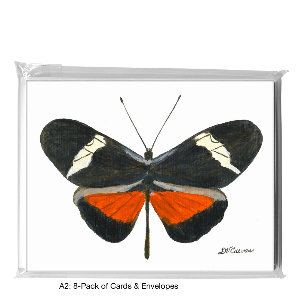 Heliconius Clysonimus Montanus, Greeting Card (7768)