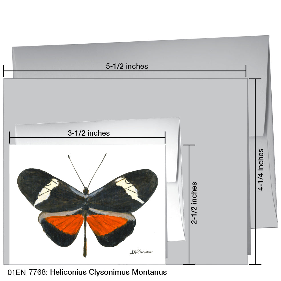 Heliconius Clysonimus Montanus, Greeting Card (7768)