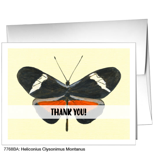 Heliconius Clysonimus Montanus, Greeting Card (7768BA)