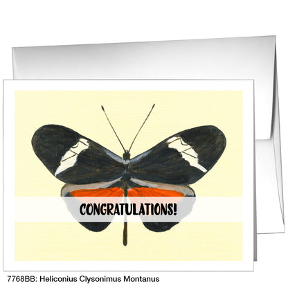 Heliconius Clysonimus Montanus, Greeting Card (7768BB)