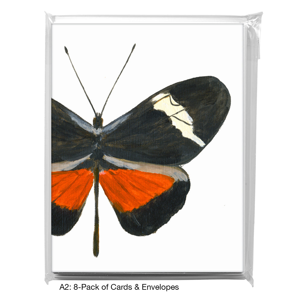 Heliconius Clysonimus Montanus, Greeting Card (7768D)