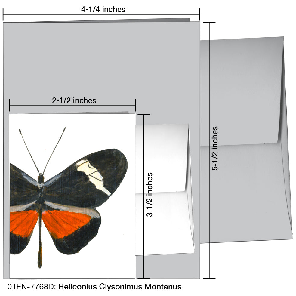 Heliconius Clysonimus Montanus, Greeting Card (7768D)