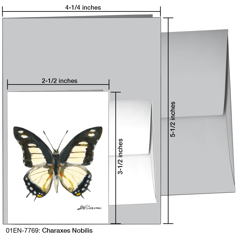 Charaxes Nobilis, Greeting Card (7769)