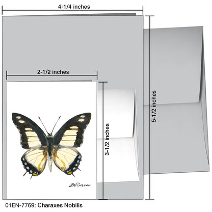 Charaxes Nobilis, Greeting Card (7769)