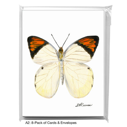 Hebomoia Glaucippe Felderi, Greeting Card (7770)