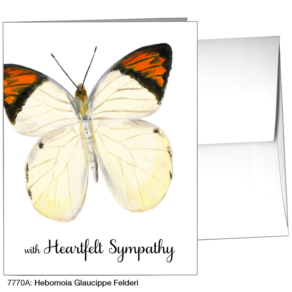 Hebomoia Glaucippe Felderi, Greeting Card (7770A)