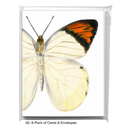 Hebomoia Glaucippe Felderi, Greeting Card (7770C)