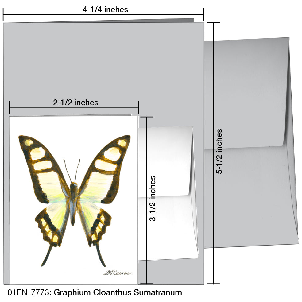 Graphium Cloanthus Sumatranum, Greeting Card (7773)