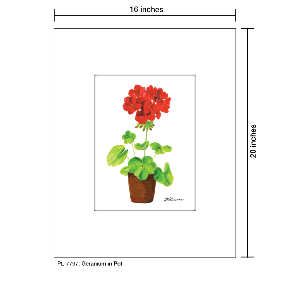 Geranium In Pot, Print (#7797)