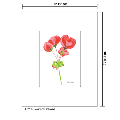 Geranium Bossoms, Print (#7798)