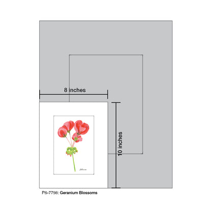 Geranium Bossoms, Print (#7798)