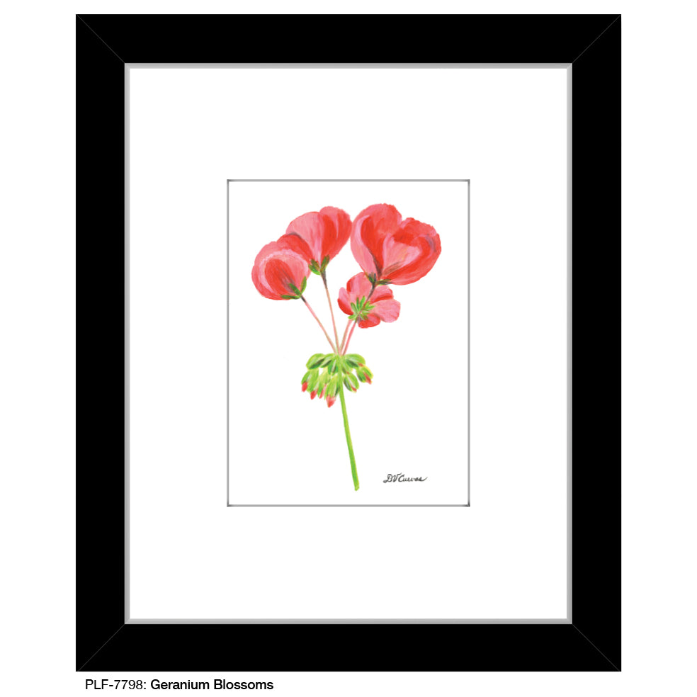 Geranium Bossoms, Print (#7798)