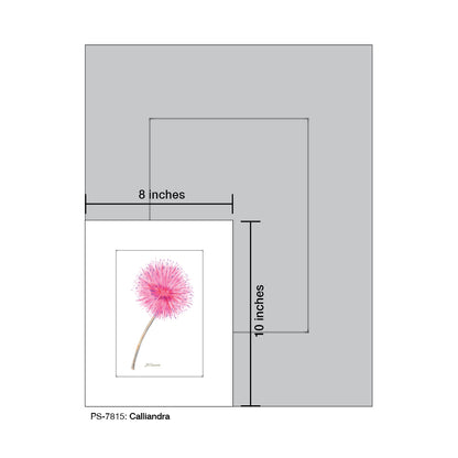 Calliandra, Print (#7815)