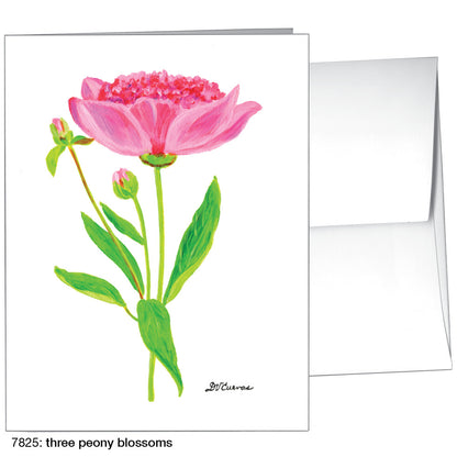 Three Peony Blossoms, Greeting Card (7825)