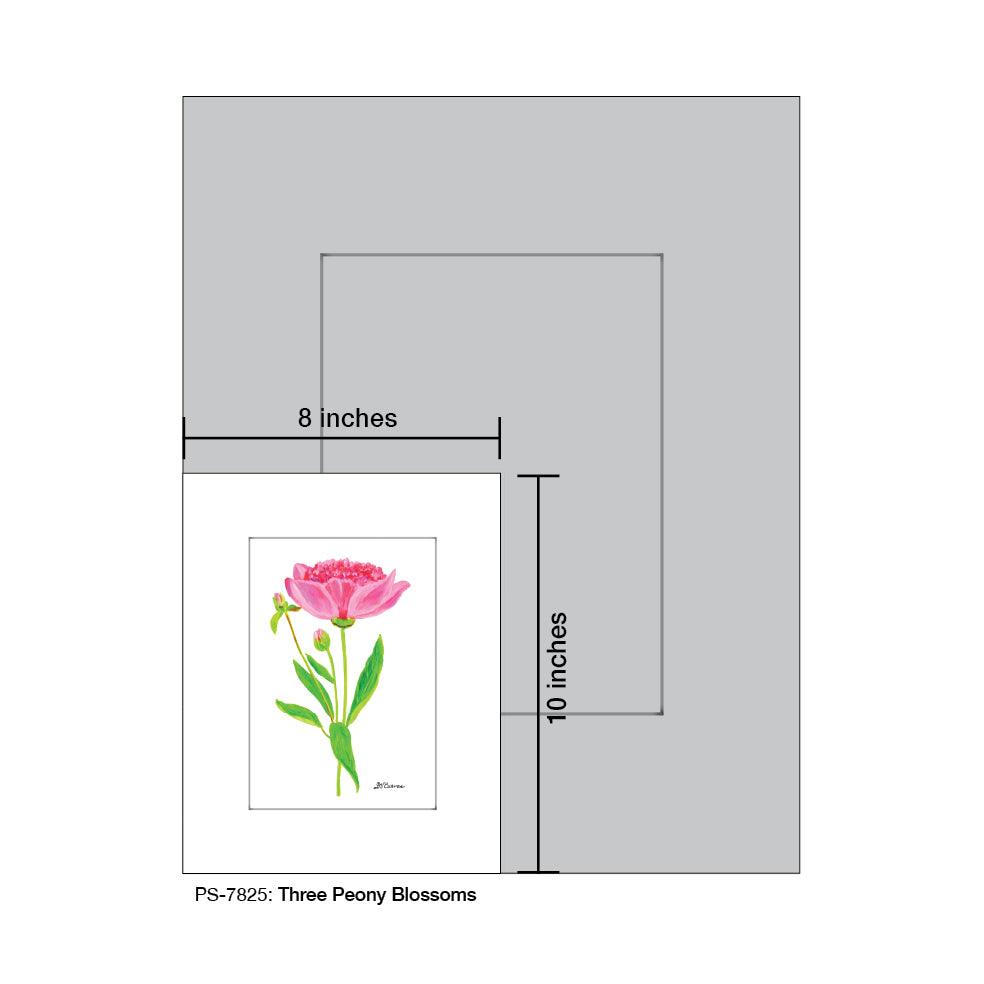 Three Peony Blossoms, Print (#7825)