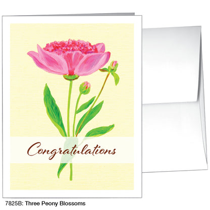 Three Peony Blossoms, Greeting Card (7825B)