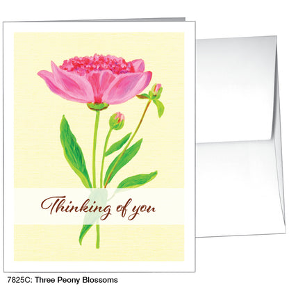 Three Peony Blossoms, Greeting Card (7825C)