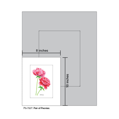 Pair of Peonies, Print (#7827)