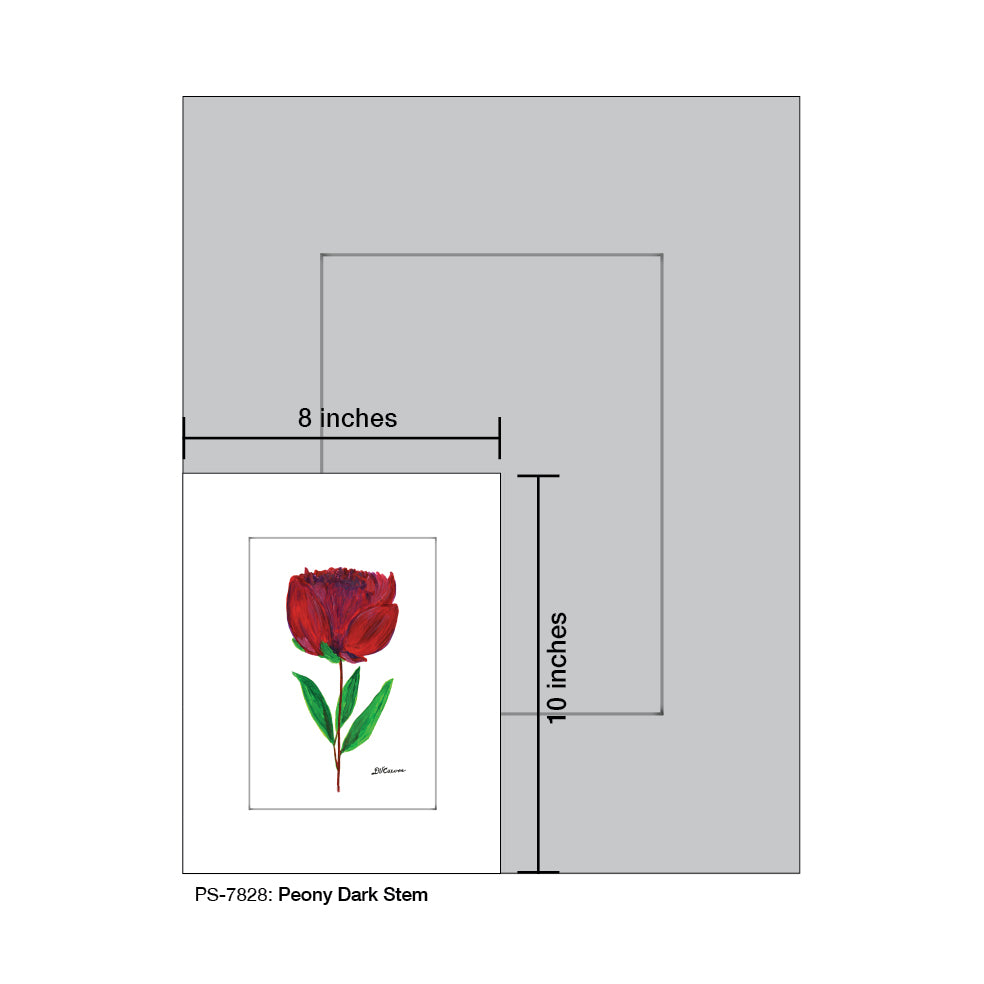 Peony Dark Stem, Print, Print (#7828)