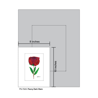 Peony Dark Stem, Print, Print (#7828)