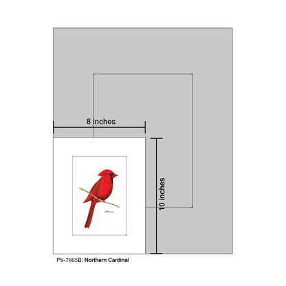 Northern Cardinal, Print (#7865B)