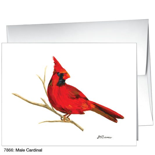 Male Cardinal, Greeting Card (7866)