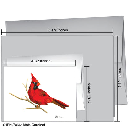 Male Cardinal, Greeting Card (7866)