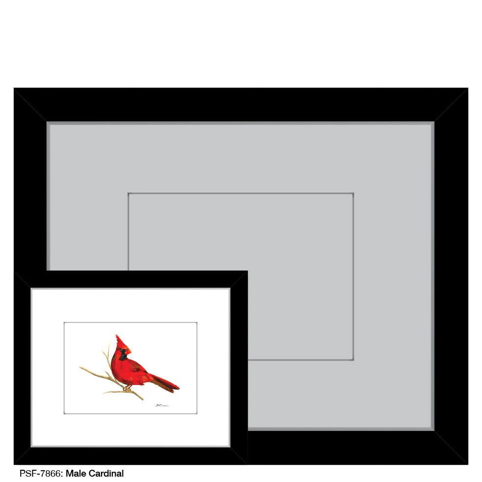 Male Cardinal, Print (#7866)