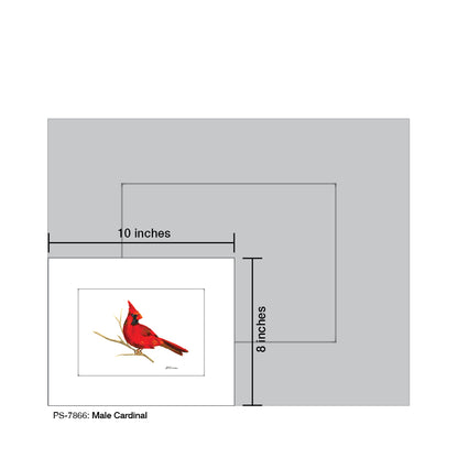 Male Cardinal, Print (#7866)