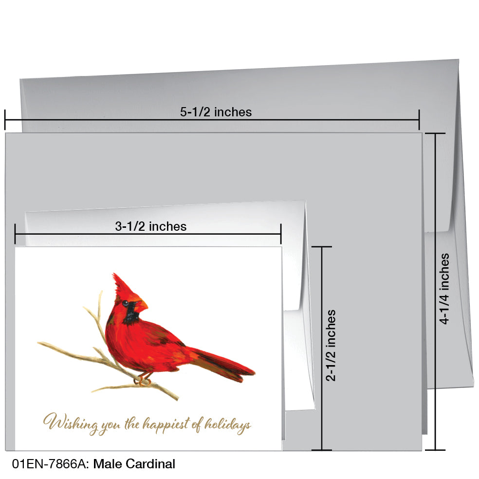 Male Cardinal, Greeting Card (7866A)