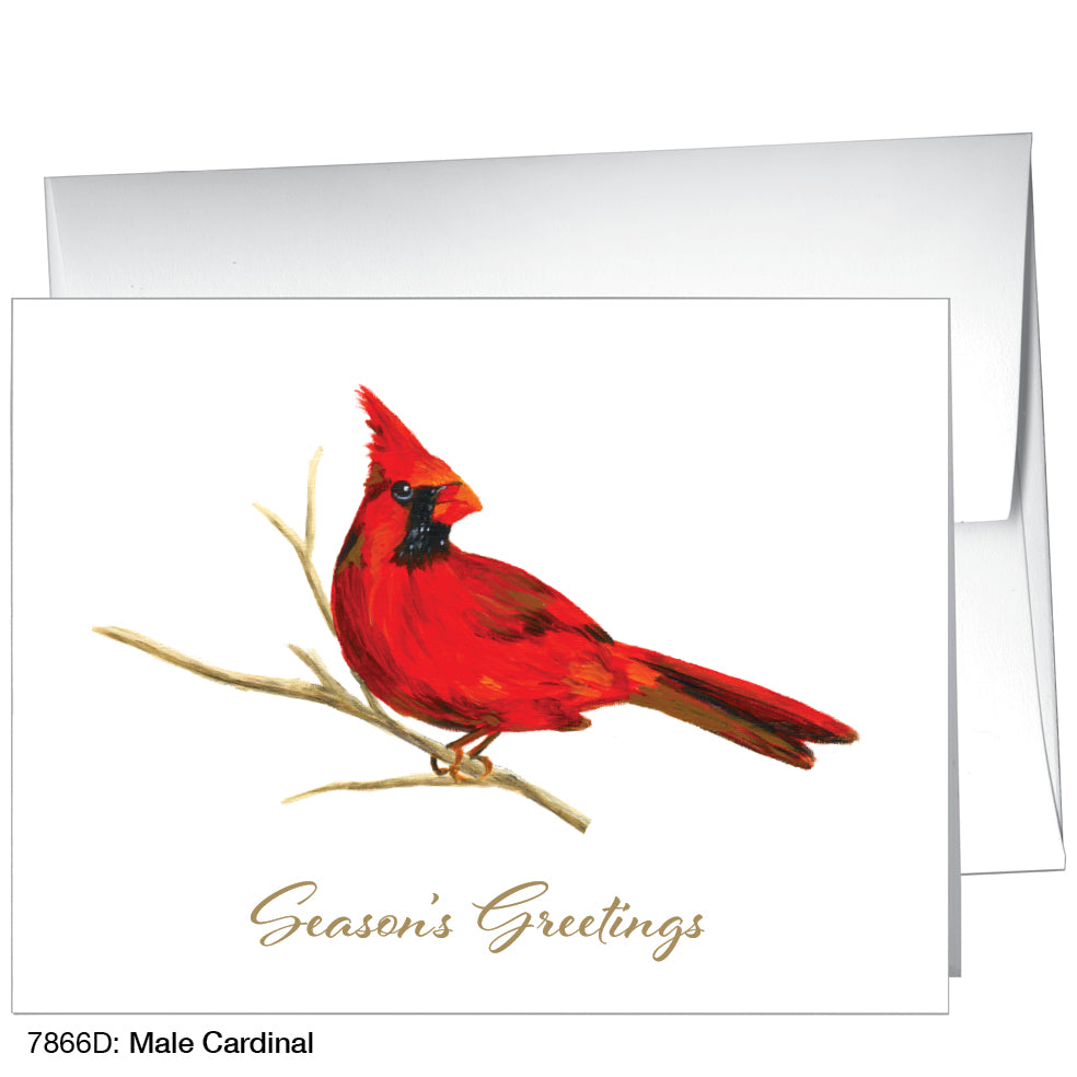 Male Cardinal, Greeting Card (7866D)