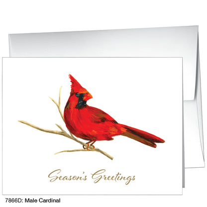 Male Cardinal, Greeting Card (7866D)