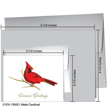 Male Cardinal, Greeting Card (7866D)