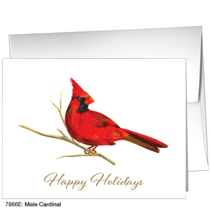 Male Cardinal, Greeting Card (7866E)