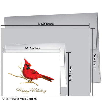 Male Cardinal, Greeting Card (7866E)